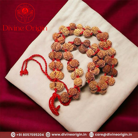 Gauri Shanker Rudraksha Kantha Gauri Shanker Rudraksha Kantha