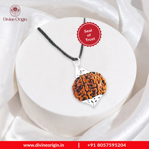 8 Mukhi Rudraksha Pendant 8 Mukhi Rudraksha Pendant