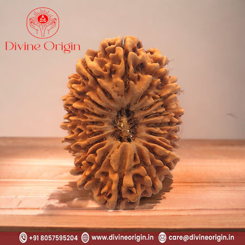 18 Mukhi Nepali Rudraksha Beads 18 Mukhi Nepali Rudraksha Beads