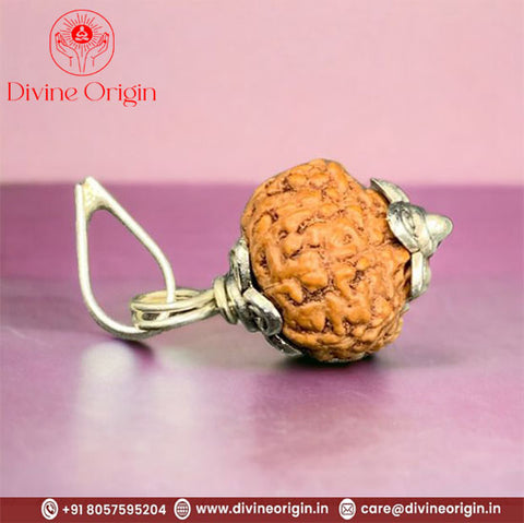 9 Faced Natural indonesia Rudraksha Beads with Silver Cap 9 Faced Natural indonesia Rudraksha Beads with Silver Cap