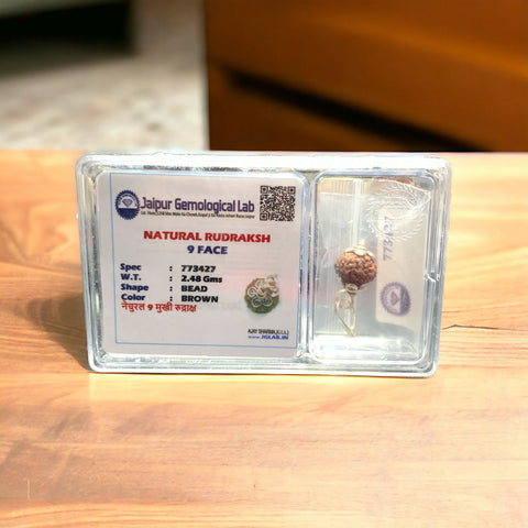 9 Faced Natural indonesia Rudraksha Beads with Silver Cap 9 Faced Natural indonesia Rudraksha Beads with Silver Cap