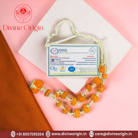 1 -14 Mukhi Rudraksha Silver Kantha (Indonesia beads) 1 -14 Mukhi Rudraksha Silver Kantha (Indonesia beads)