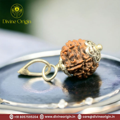 07 Faced Natural Nepali Rudraksha Beads with Silver Cap 07 Faced Natural Nepali Rudraksha Beads with Silver Cap