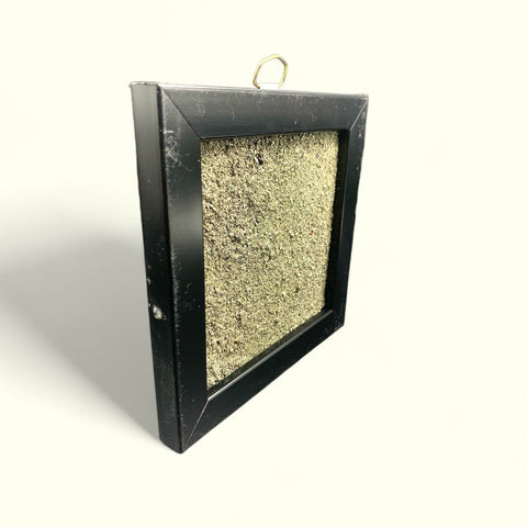 The Golden Pyrite Dust Plate The Golden Pyrite Dust Plate