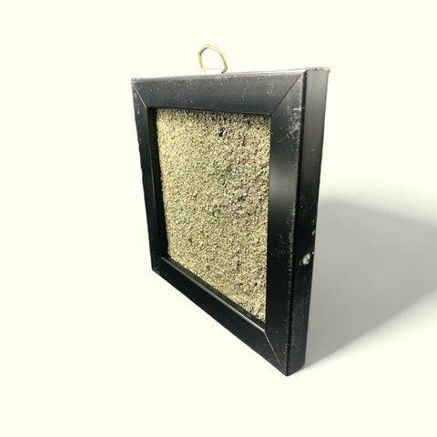 The Golden Pyrite Dust Plate The Golden Pyrite Dust Plate