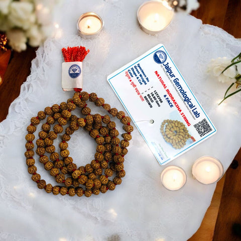 06 Mukhi Natural Rudraksha Mala 108 Beads ( 6-7 MM) 06 Mukhi Natural Rudraksha Mala 108 Beads ( 6-7 MM)
