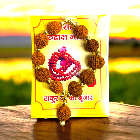 Bhagwan ji shingar rudraksha Mala ( Pack of 3 pics ) Bhagwan ji shingar rudraksha Mala ( Pack of 3 pics )