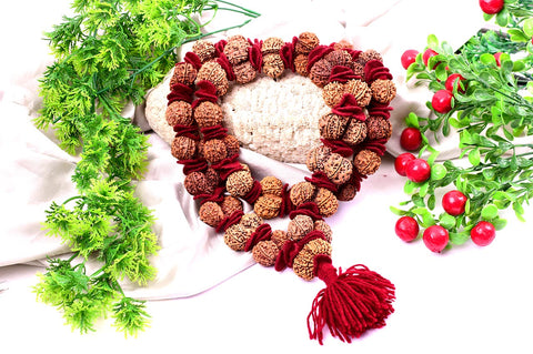 Gauri Shanker Rudraksha Kantha Gauri Shanker Rudraksha Kantha
