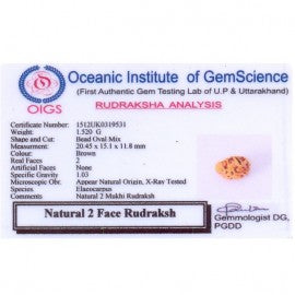 02 Mukhi Rameshwaram Rudraksha 02 Mukhi Rameshwaram Rudraksha