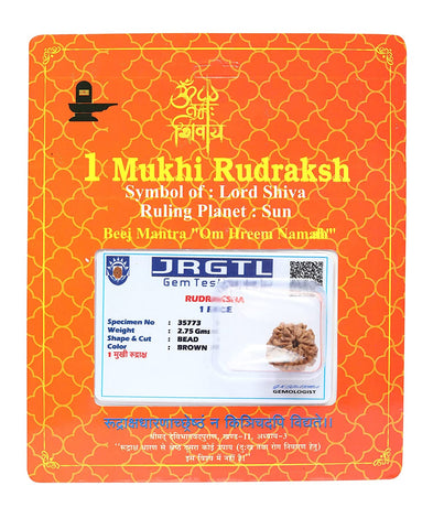 1 Mukhi Gol Rudraksha Beads 1 Mukhi Gol Rudraksha Beads