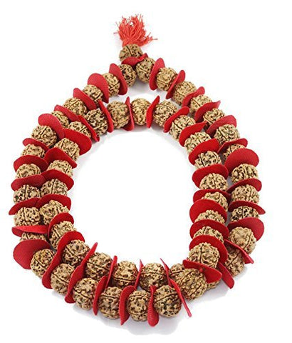 5 mukhi rudraksha kantha 5 mukhi rudraksha kantha
