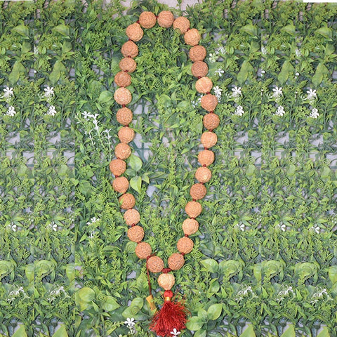 7 Faced Mahalaxmi Rudraksha Mala 7 Faced Mahalaxmi Rudraksha Mala