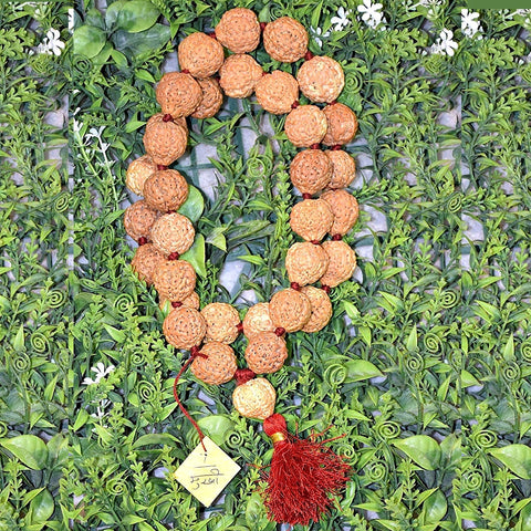 7 Faced Mahalaxmi Rudraksha Mala 7 Faced Mahalaxmi Rudraksha Mala