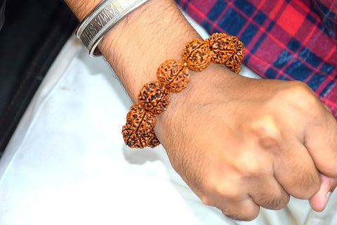6 Mukhi Rudraksh  Bracelet 6 Mukhi Rudraksh  Bracelet
