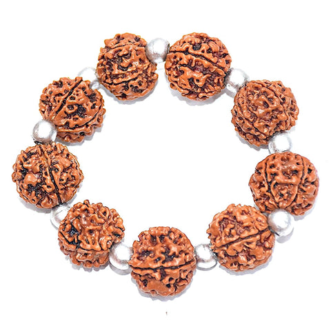 Charming 5 Mukhi Rudraksha & Parad beads Bracelet Charming 5 Mukhi Rudraksha & Parad beads Bracelet