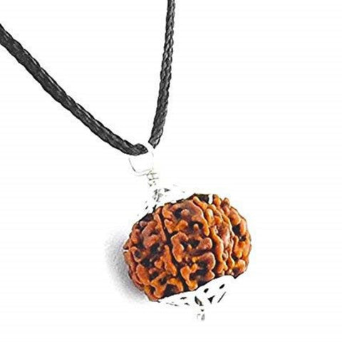 10 Mukhi Rudraksha Pendant 10 Mukhi Rudraksha Pendant
