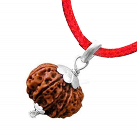 9 Mukhi Rudraksha Pendant kavach 9 Mukhi Rudraksha Pendant kavach