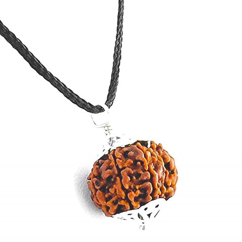 8 Mukhi Rudraksha Pendant 8 Mukhi Rudraksha Pendant