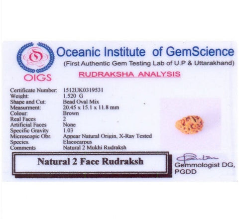 02 Faced Natural Nepali Rudraksha 02 Faced Natural Nepali Rudraksha
