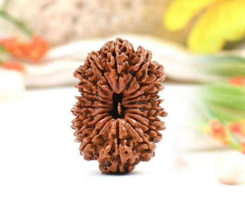 18 Mukhi Nepali Rudraksha Beads 18 Mukhi Nepali Rudraksha Beads
