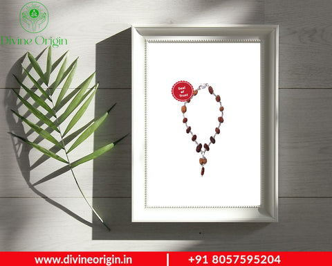 1 -14 Mukhi Rudraksha Silver Bracelet 1 -14 Mukhi Rudraksha Silver Bracelet