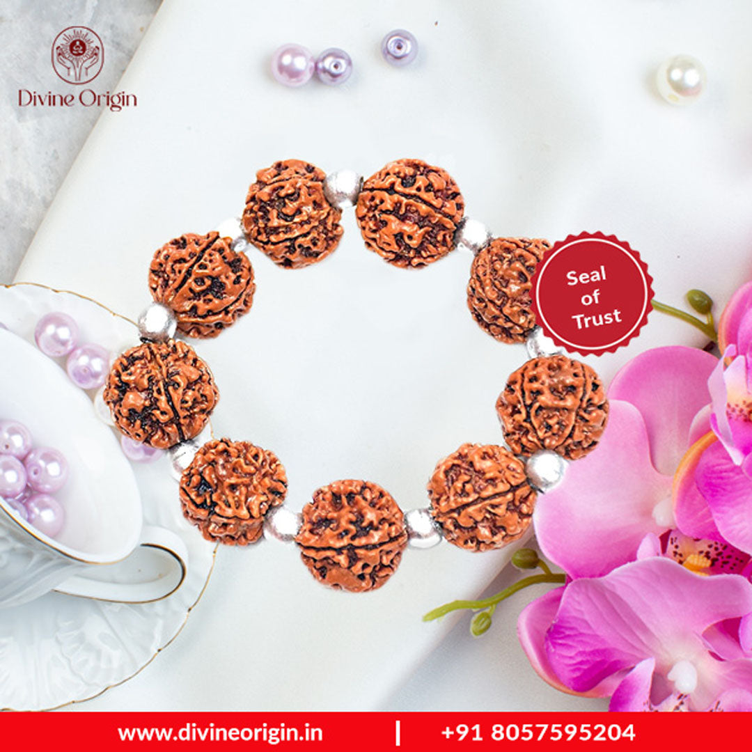 Charming 5 Mukhi Rudraksha & Parad beads Bracelet