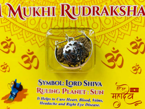 One Mukhi / Faced Half Moon Rudraksha