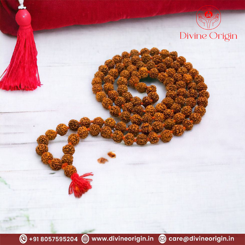 Premium Quality Rudraksha Mala 108+1 beads with lab tested