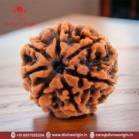 07 Faced Natural Nepali Rudraksha Beads