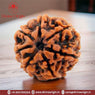 07 Faced Natural Nepali Rudraksha Beads