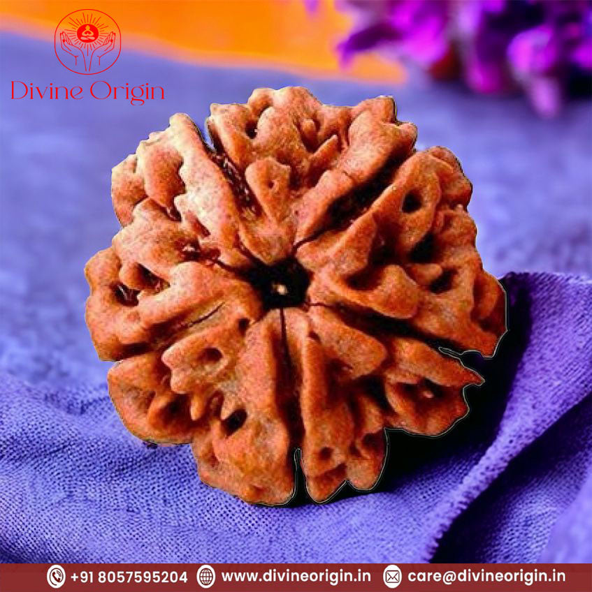 05 Mukhi / Faced Natural Nepali Rudraksha Beads