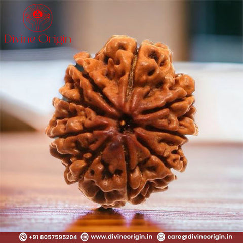 9 Faced Natural Nepali Rudraksha Beads