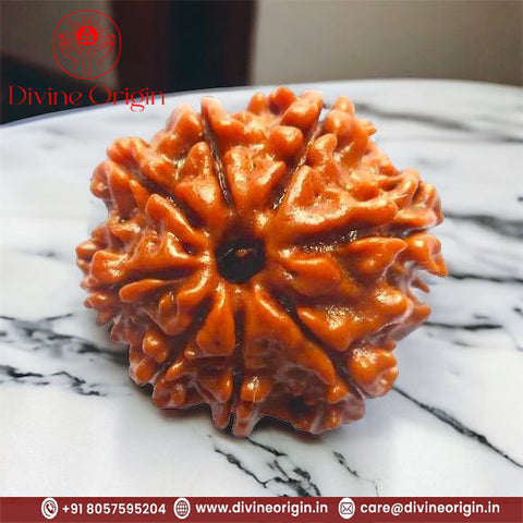 8 Faced Natural Nepali Rudraksha Beads