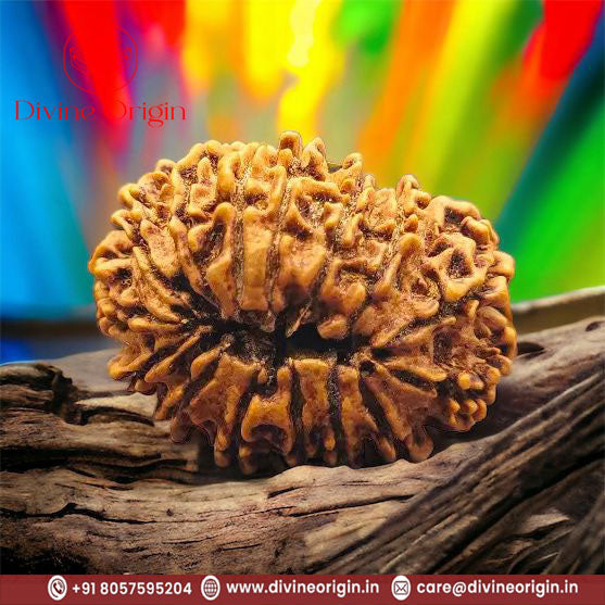 15 Faced Natural Nepali Rudraksha Beads