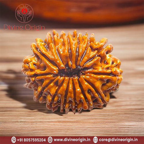 14 Faced Natural Nepali Rudraksha Beads