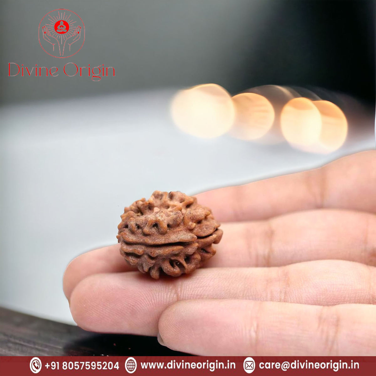 1 Mukhi Gol Rudraksha Beads