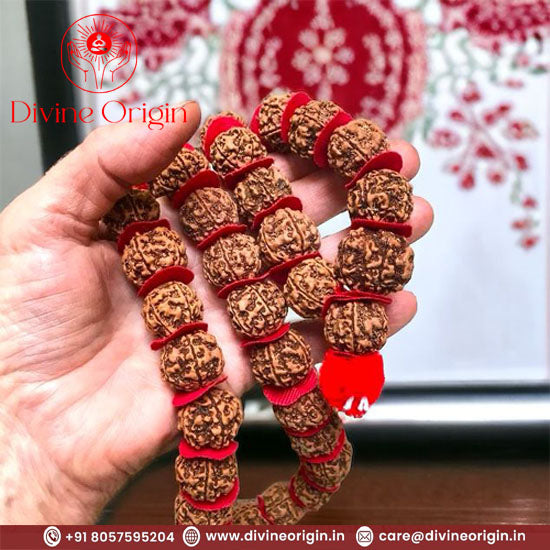 5 mukhi rudraksha kantha