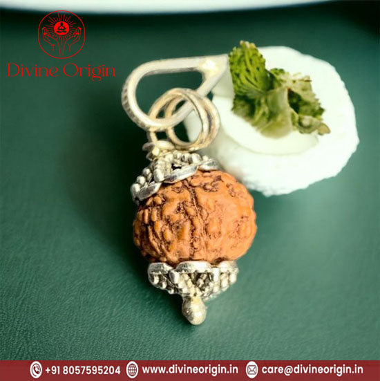 07 Faced Natural Indonesia Rudraksha Beads With Silver Cap