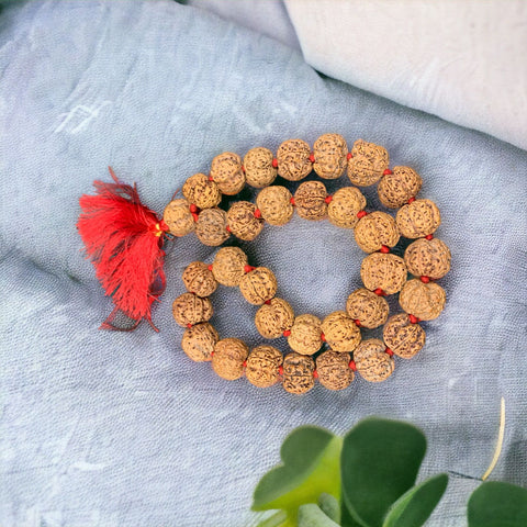 5 Faced Rudraksha Kantha