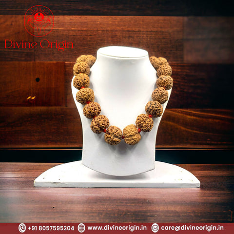 5 Faced Rudraksha Kantha