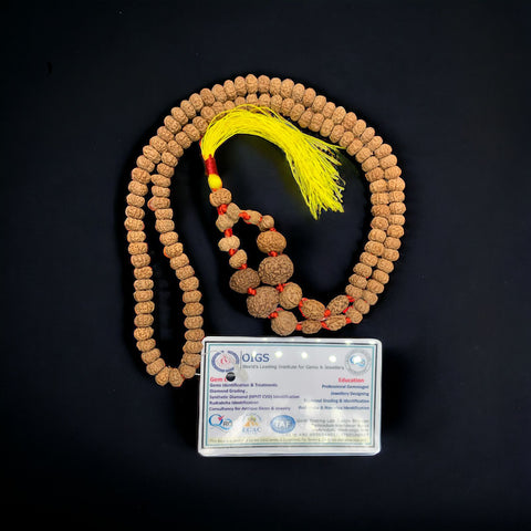 1 to 14 Mukhi Rudraksha Gauri Shankar kantha  (indonesia Beads)