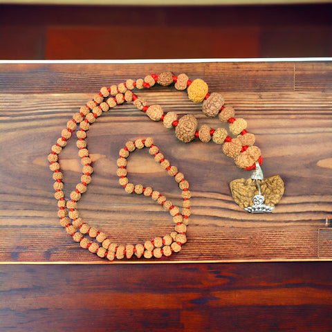 1 to 14 Mukhi Rudraksha Gauri Shankar kantha with (1 mukhi kaju bead)