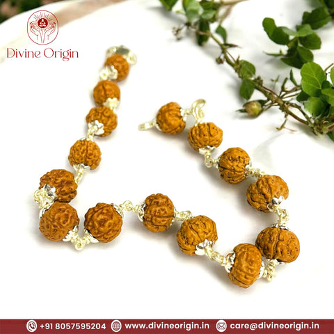 The Five Mukhi Rudraksha Bracelet (Real Silver)