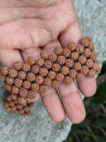 Brown Wooden Stretchable 5 Mukhi Rudraksha Beads Bracelet