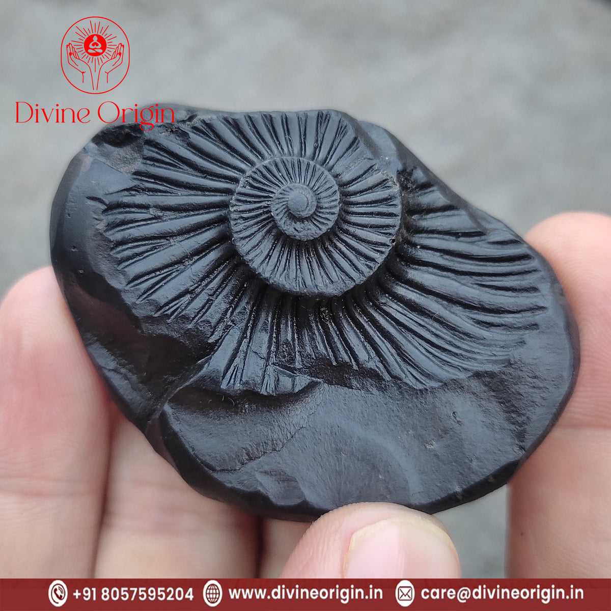 Sudarshan Shaligram