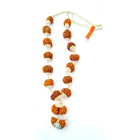 1 -14 Mukhi Rudraksha Siddha Mala with silver Cap (Nepali beads)