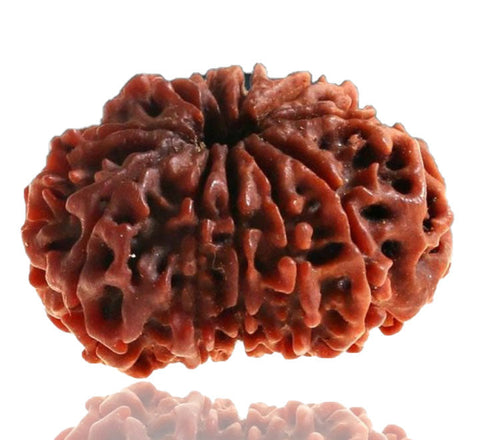 10 Faced Natural Nepali Rudraksha Beads