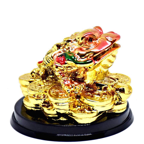 Fengshui Gold Money 3 Legged Frog