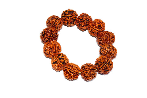 6 Mukhi Rudraksh  Bracelet