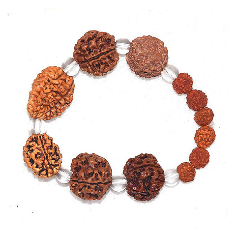 Brown Rudraksh Bracelet 2 To 7 Face Beads (Lab Tested)